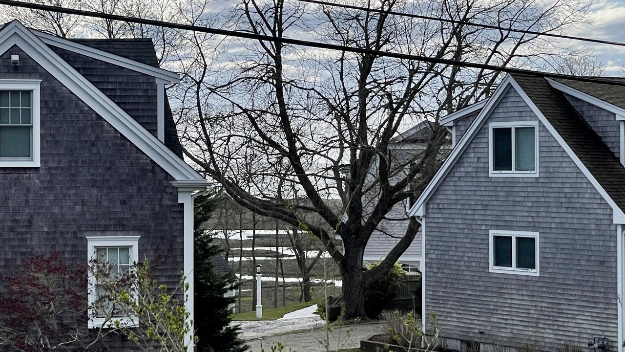 Photo of Outdoor in South Chatham