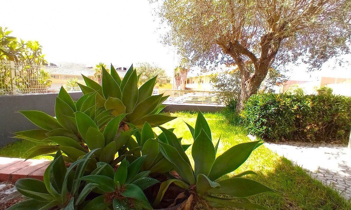 Photo of Outdoor in Faulha