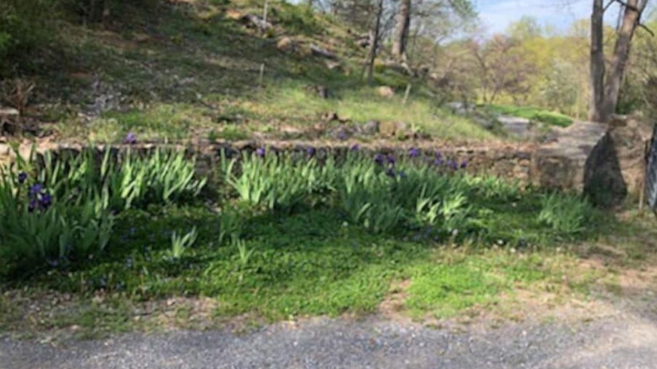 Photo of Outdoor in Bentonville