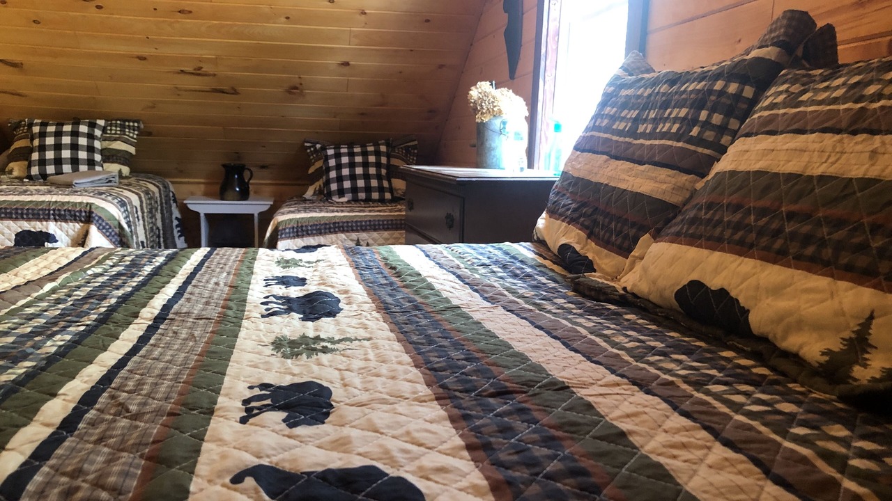 Photo of Bedroom in Day