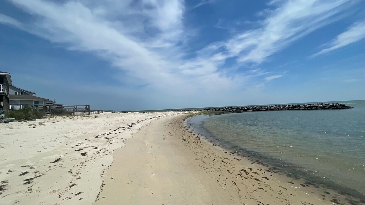 Photo of Others in New Point