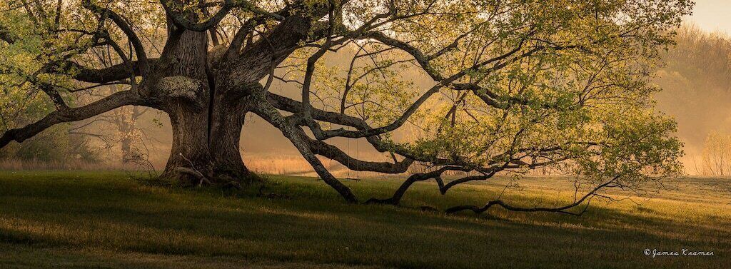 Photo of Outdoor in Marion