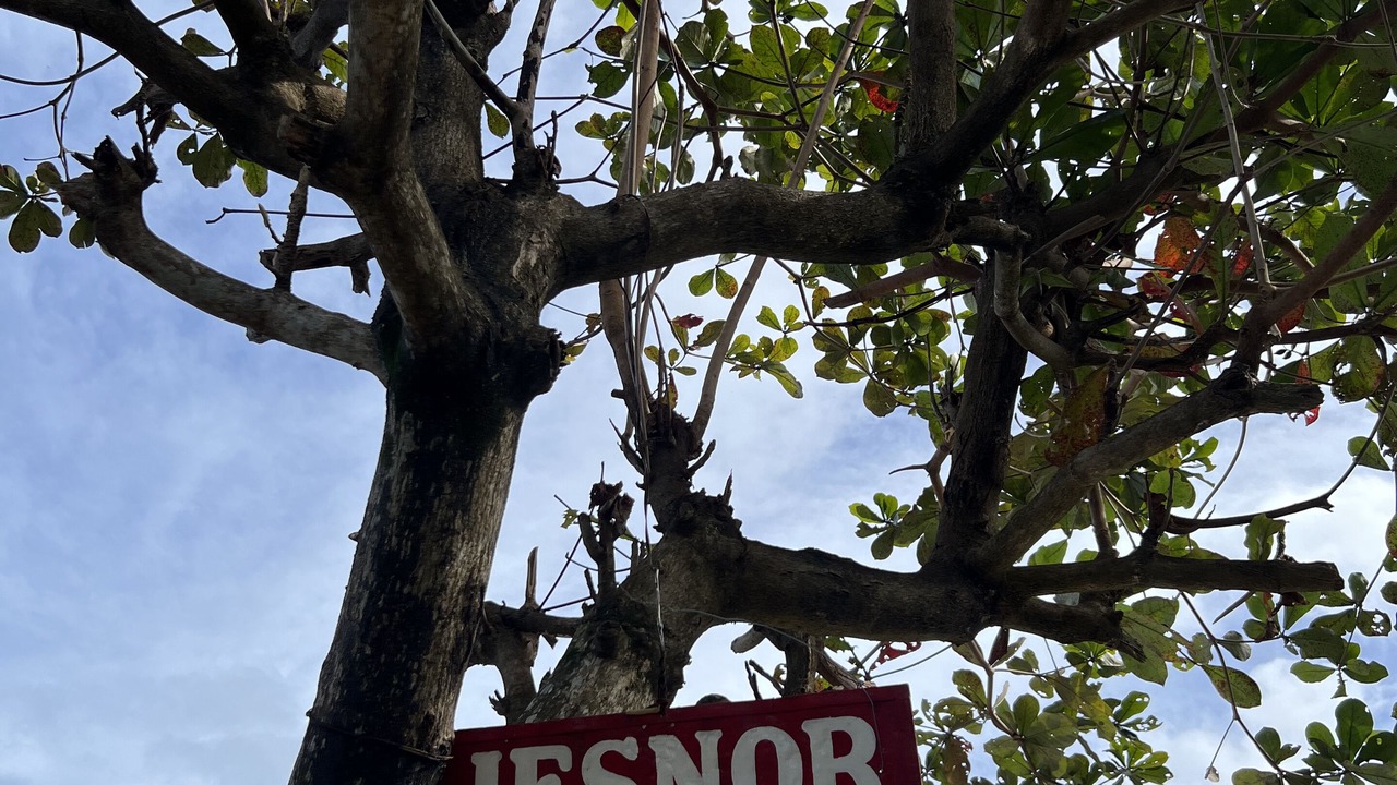 Photo of Outdoor in Santa Ana
