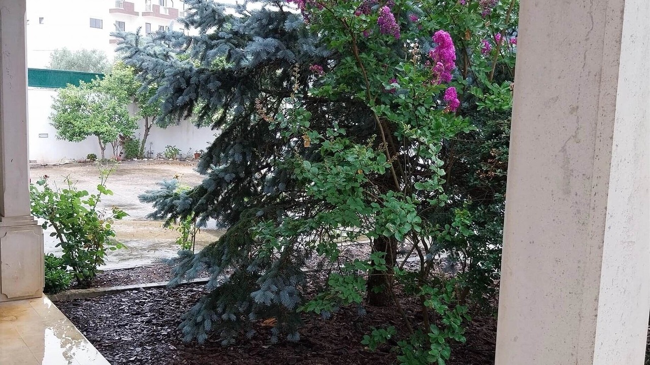 Photo of Outdoor in Fatima