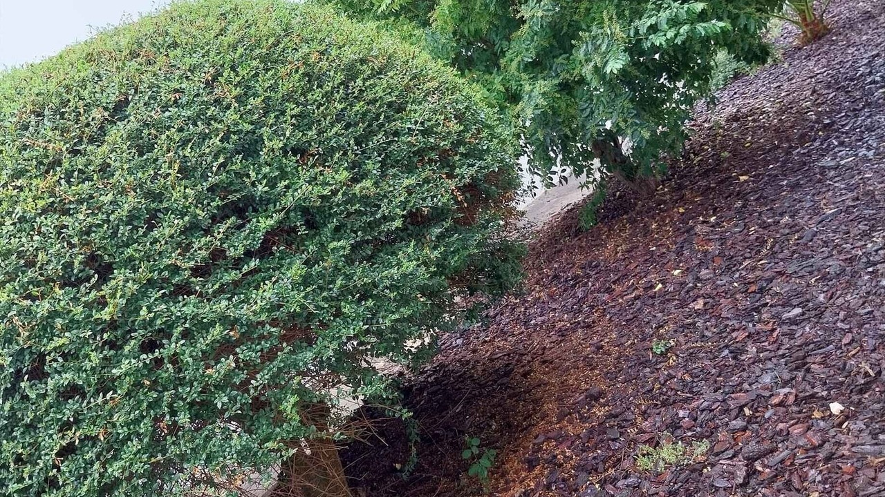 Photo of Outdoor in Fatima