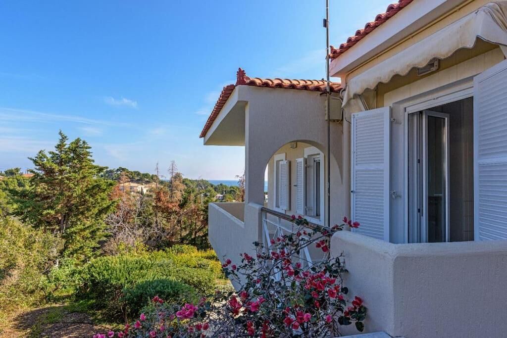 Photo of Outdoor in Agios Emilianos
