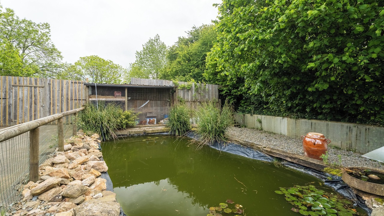 Photo of Outdoor in Pluduno