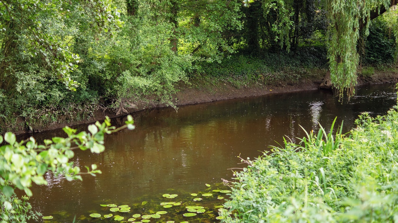 Photo of Others in Pluduno
