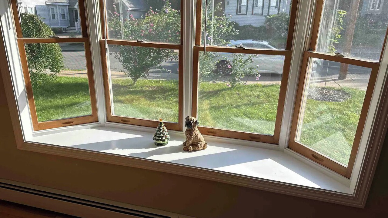 Photo of Others in West Roxbury
