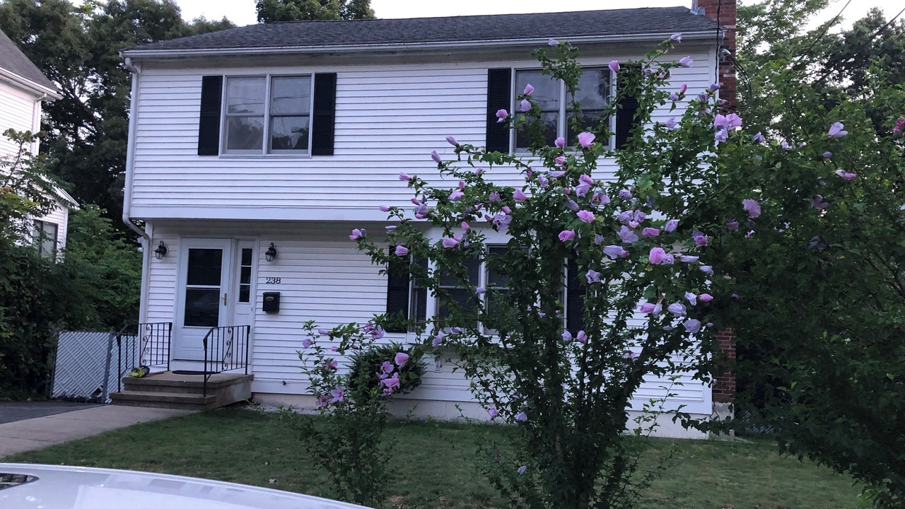 Photo of Outdoor in West Roxbury