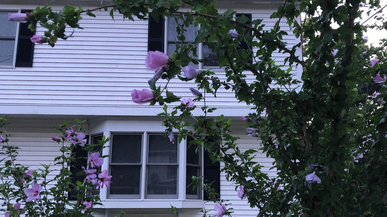 Photo of Outdoor in West Roxbury