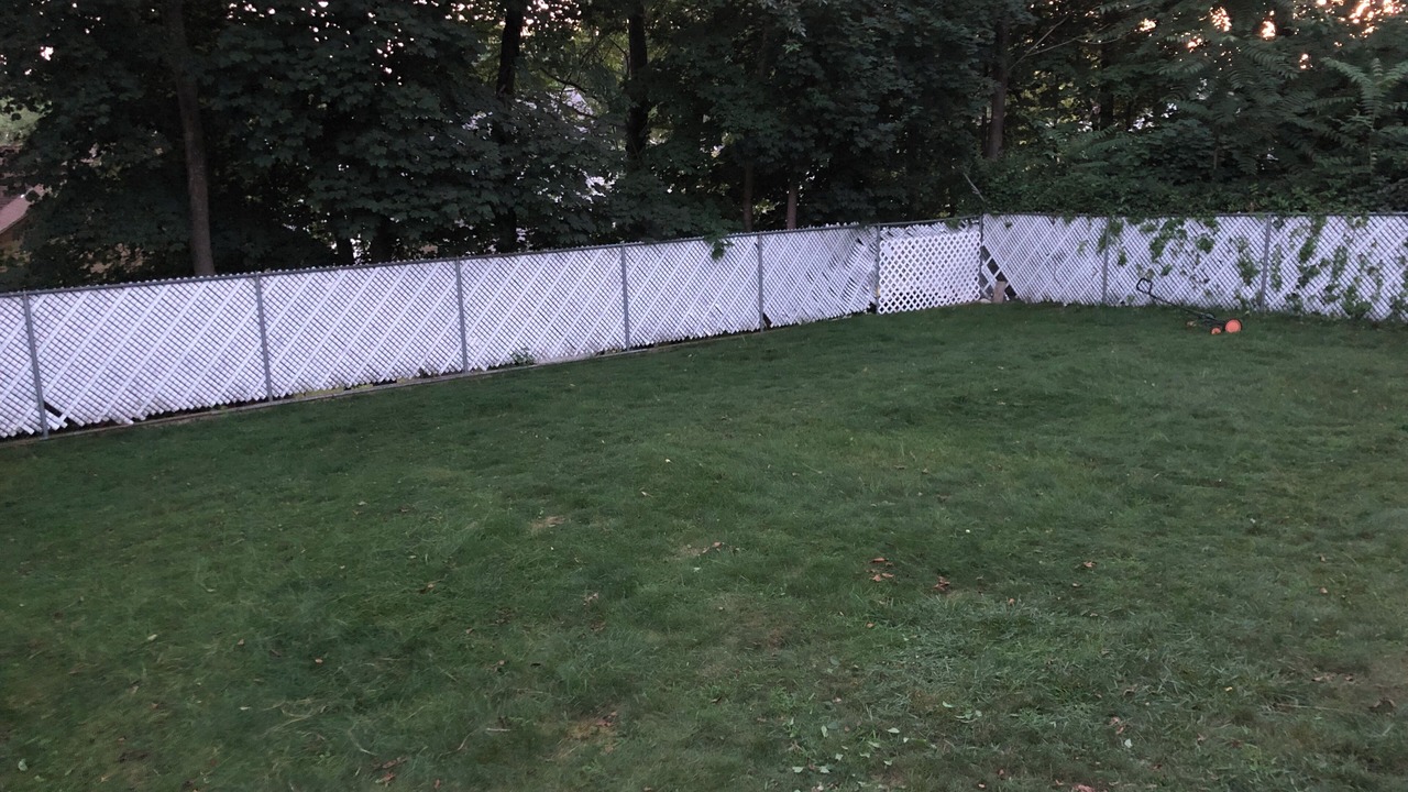 Photo of Outdoor in West Roxbury