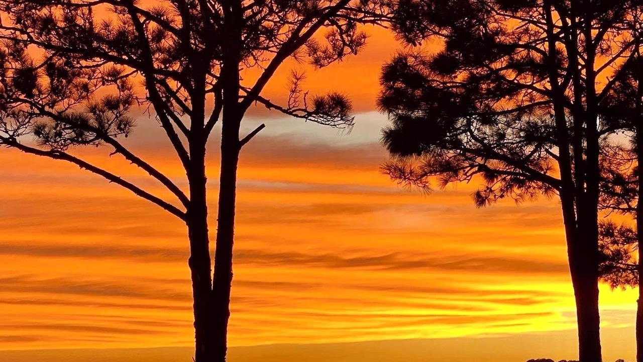 Photo of Others in Carrabelle