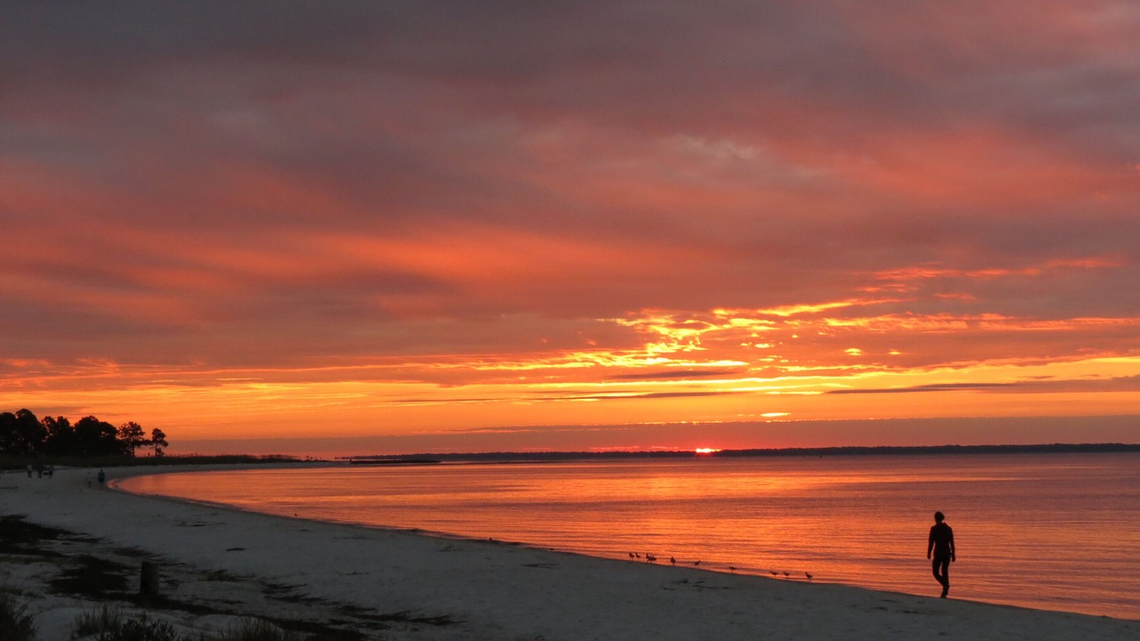 Photo of Others in Carrabelle