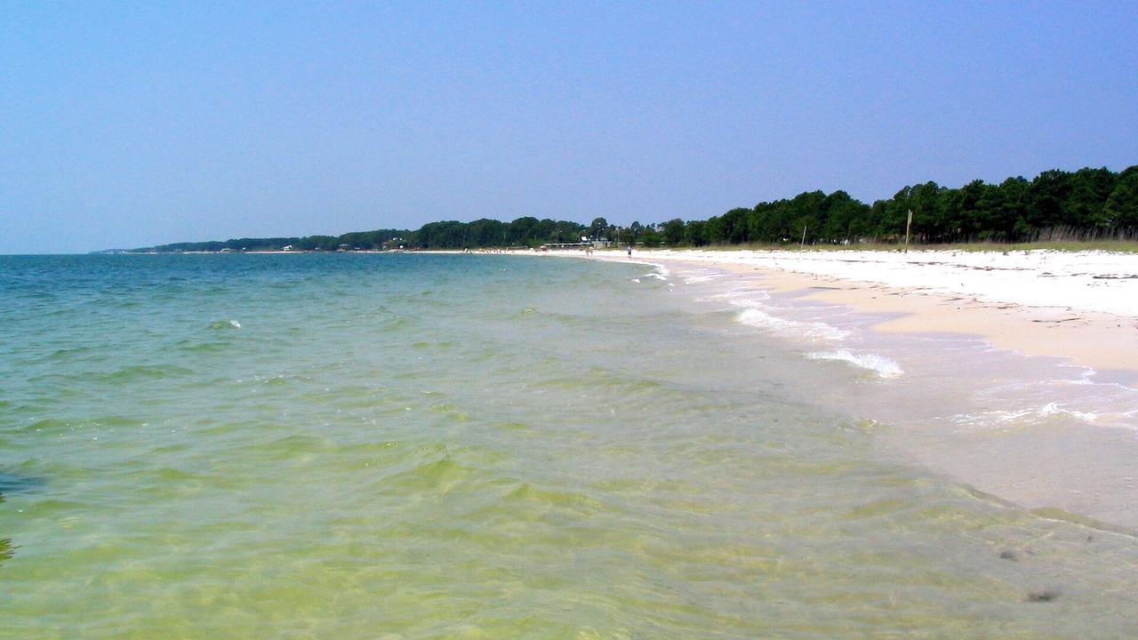 Photo of Others in Carrabelle