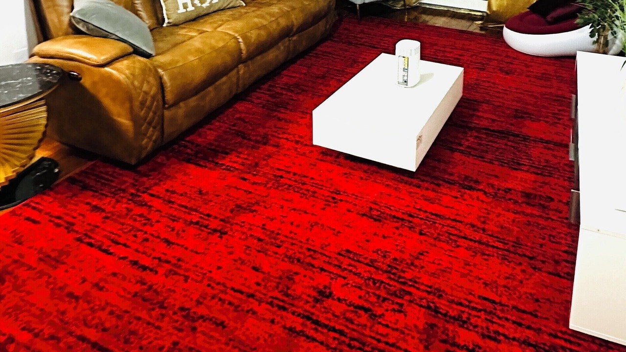 Photo of Livingroom in East Bronx
