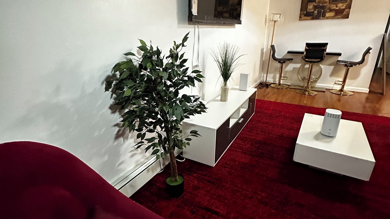 Photo of Livingroom in East Bronx