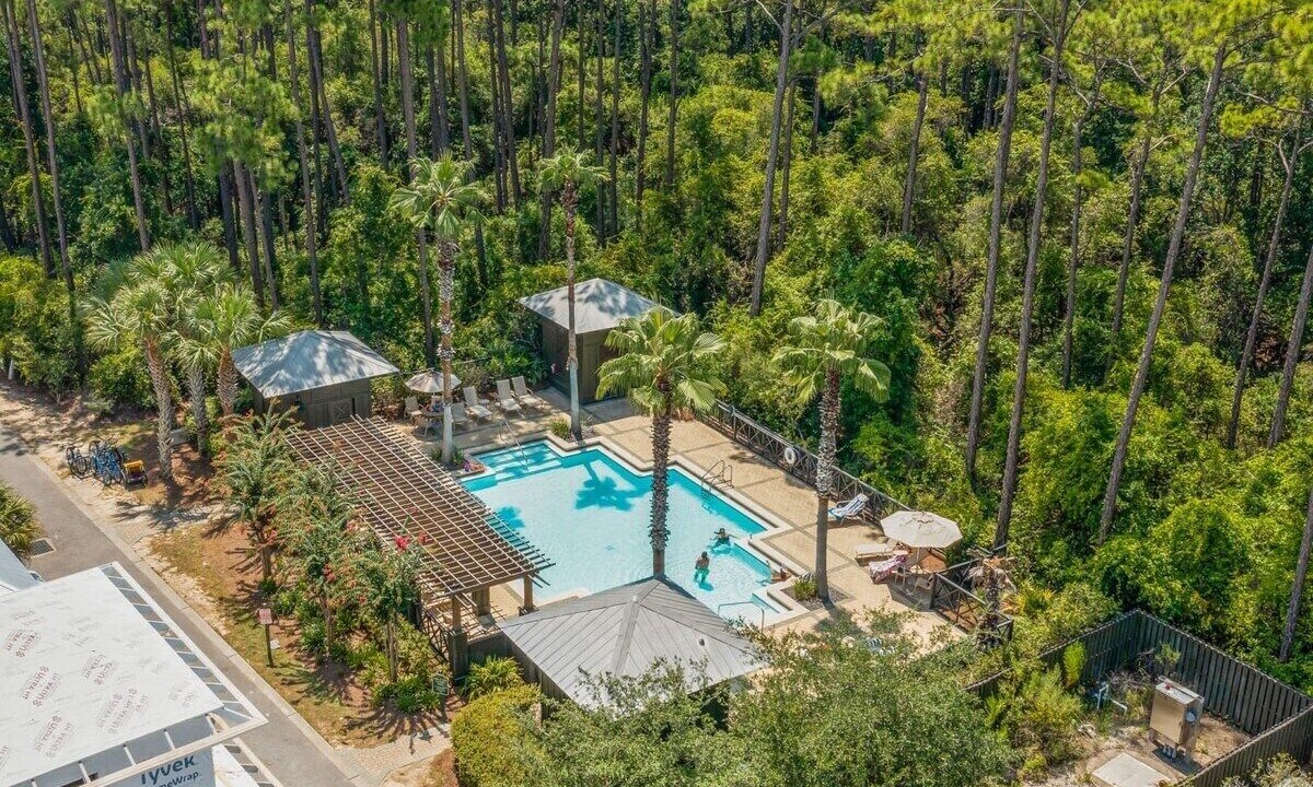 Photo of Outdoor in Treetop