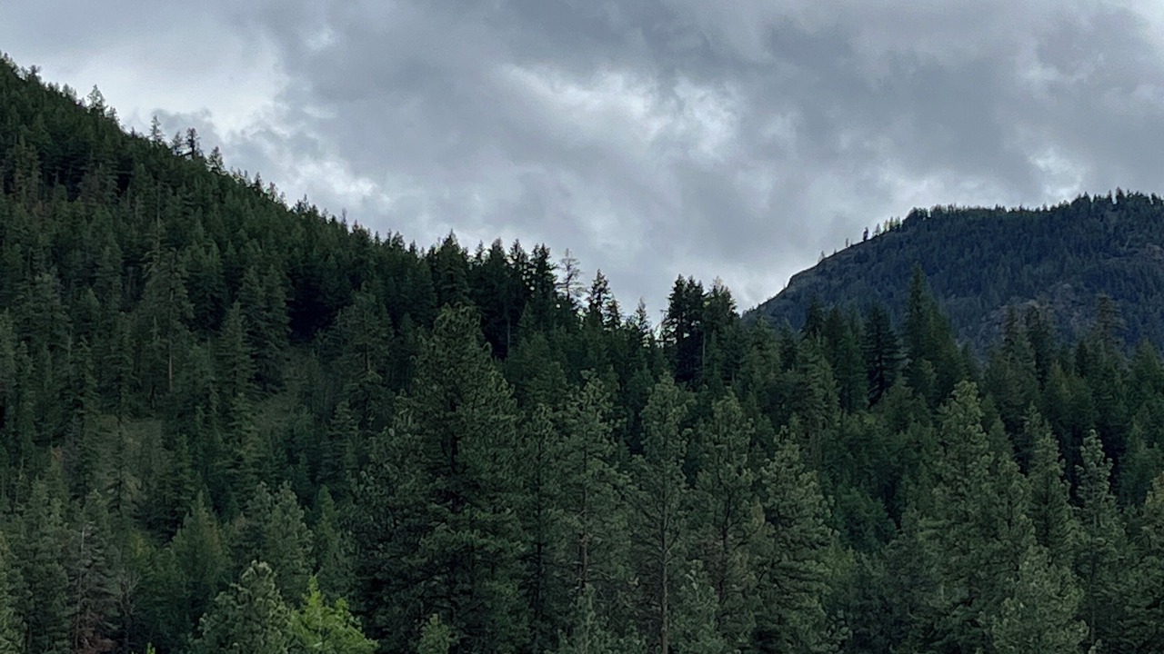 Photo of Others in Twisp