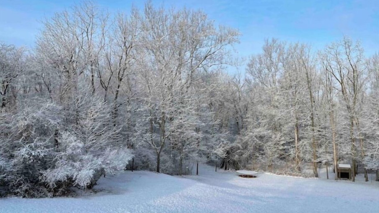 Photo of Outdoor in Acton