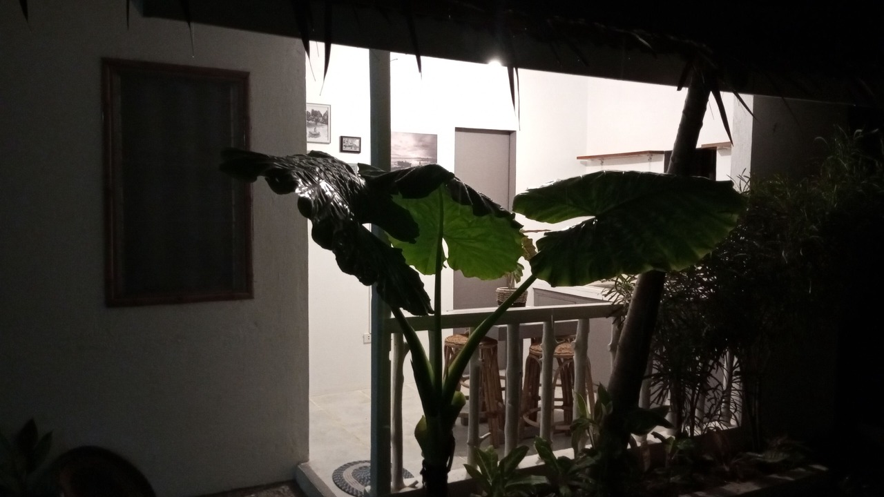 Photo of Patio Balcony in El Nido