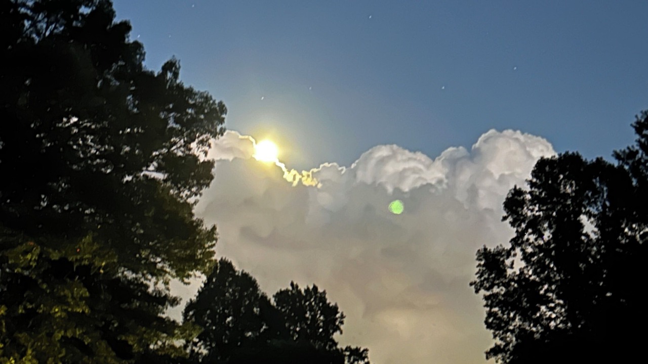 Photo of Others in Troutville