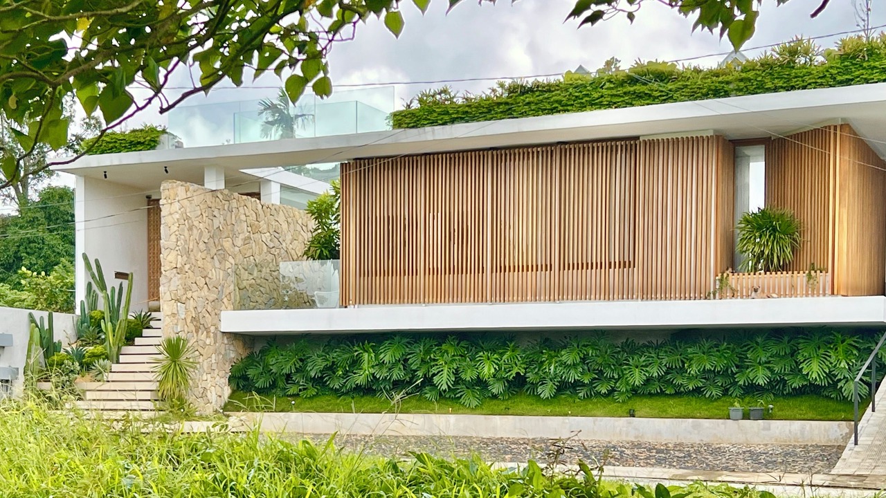 Photo of Outdoor in Alfonso
