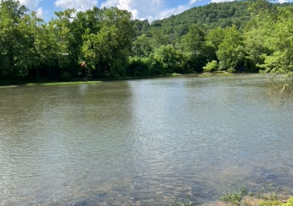 Photo of Others in Ronceverte