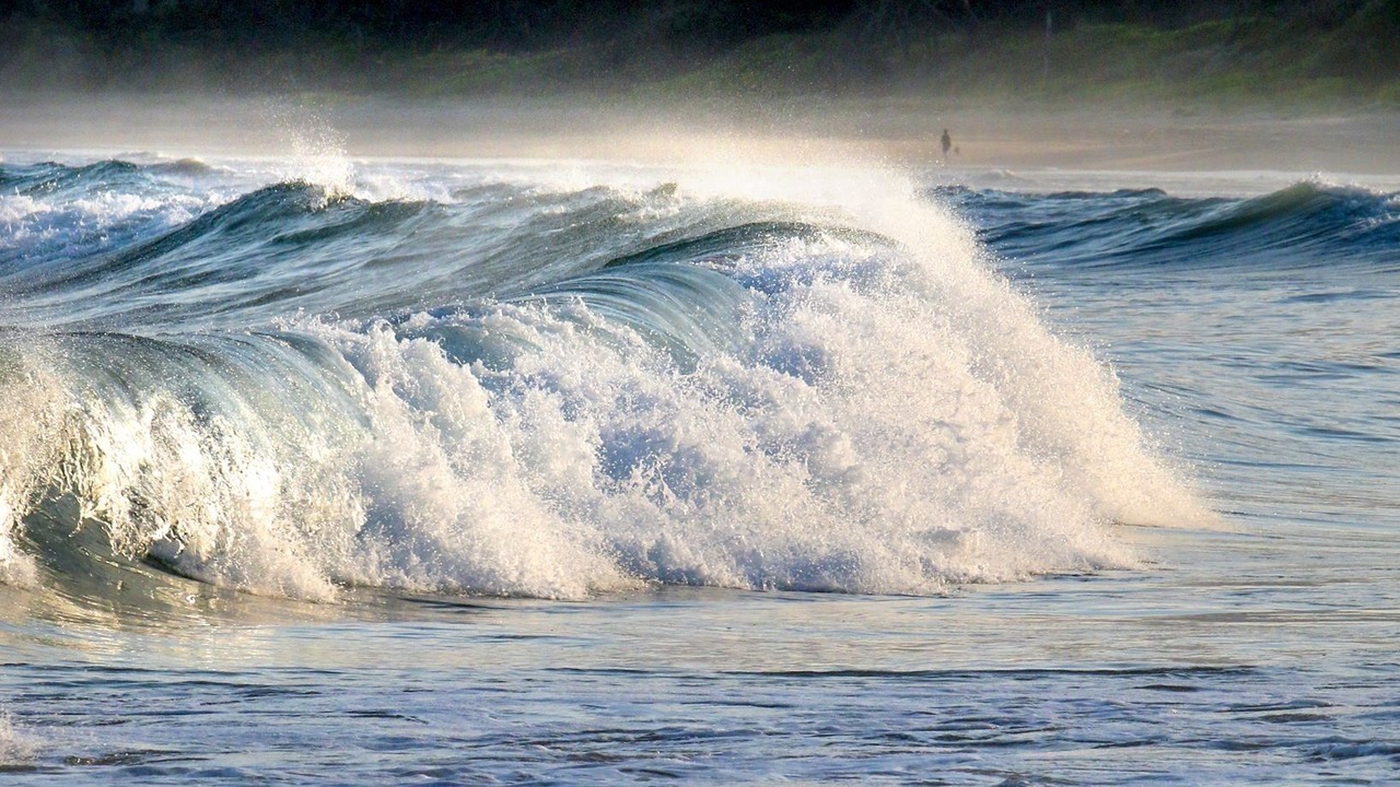 Photo of Others in Woolgoolga