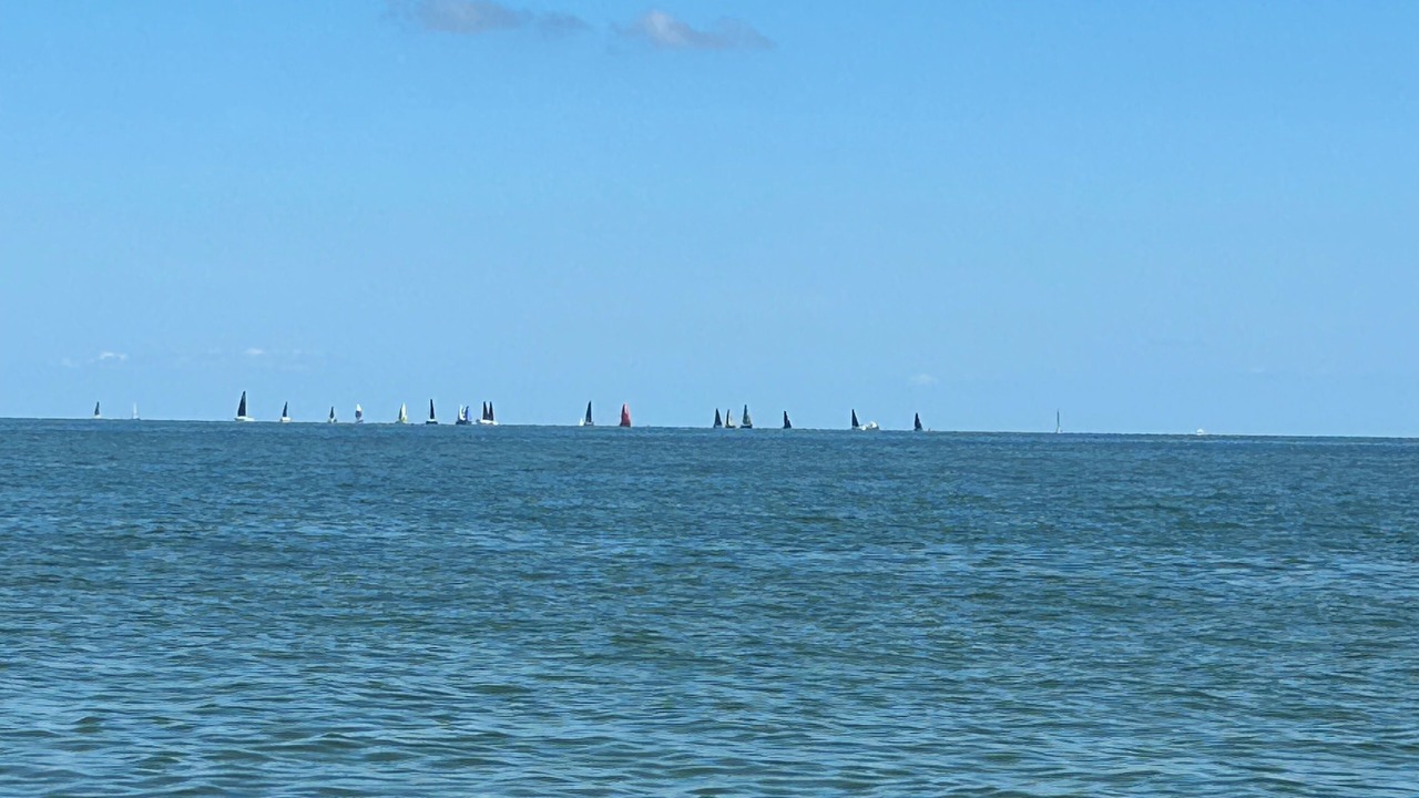 Photo of Others in Gwynn