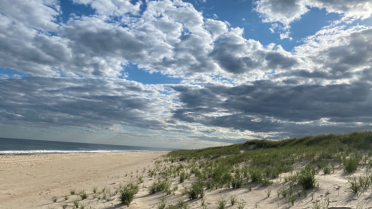 Photo of Others in Amagansett Dunes