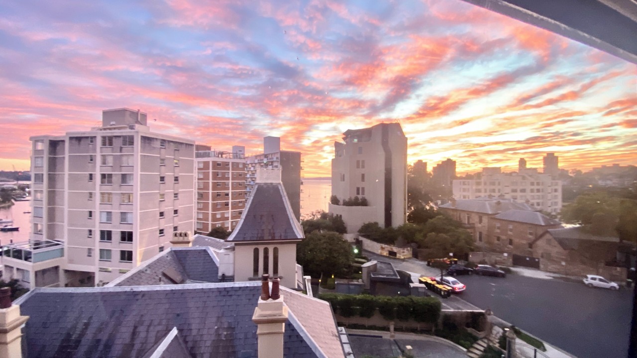 Photo of Others in Elizabeth Bay