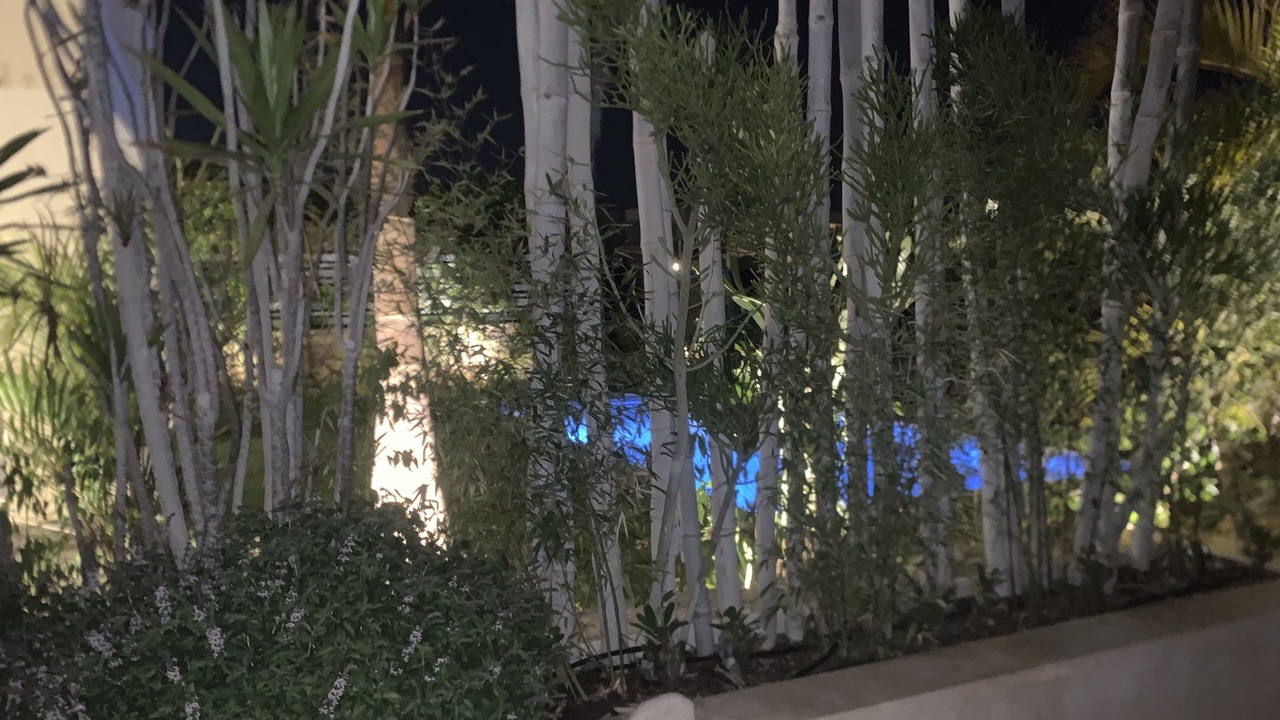 Photo of Outdoor in Matrouh Governorate