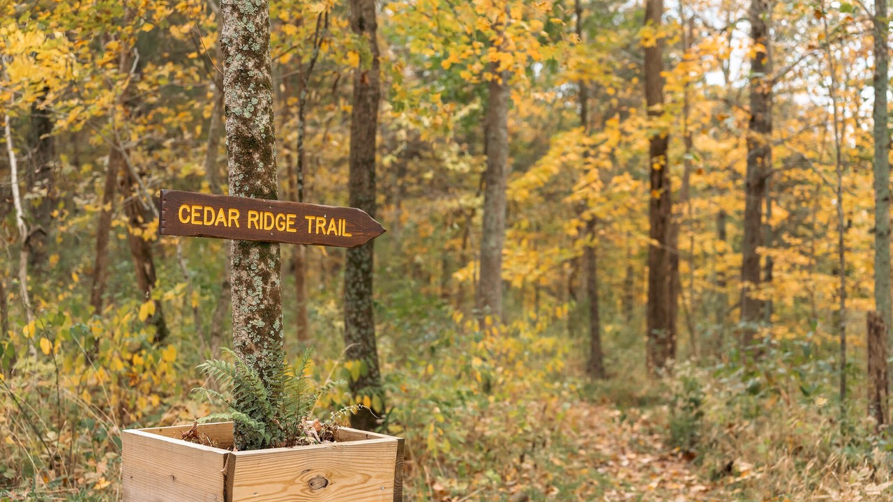 Photo of Outdoor in Canaan