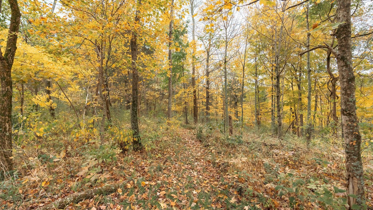Photo of Outdoor in Canaan