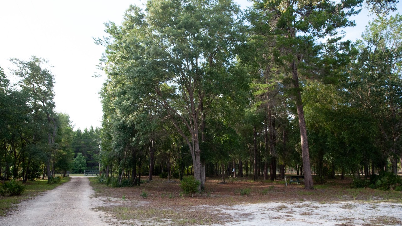 Photo of Outdoor in Perry
