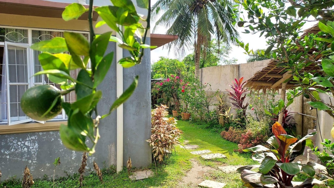Photo of Outdoor in Daet