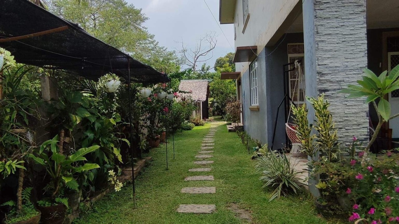 Photo of Outdoor in Daet
