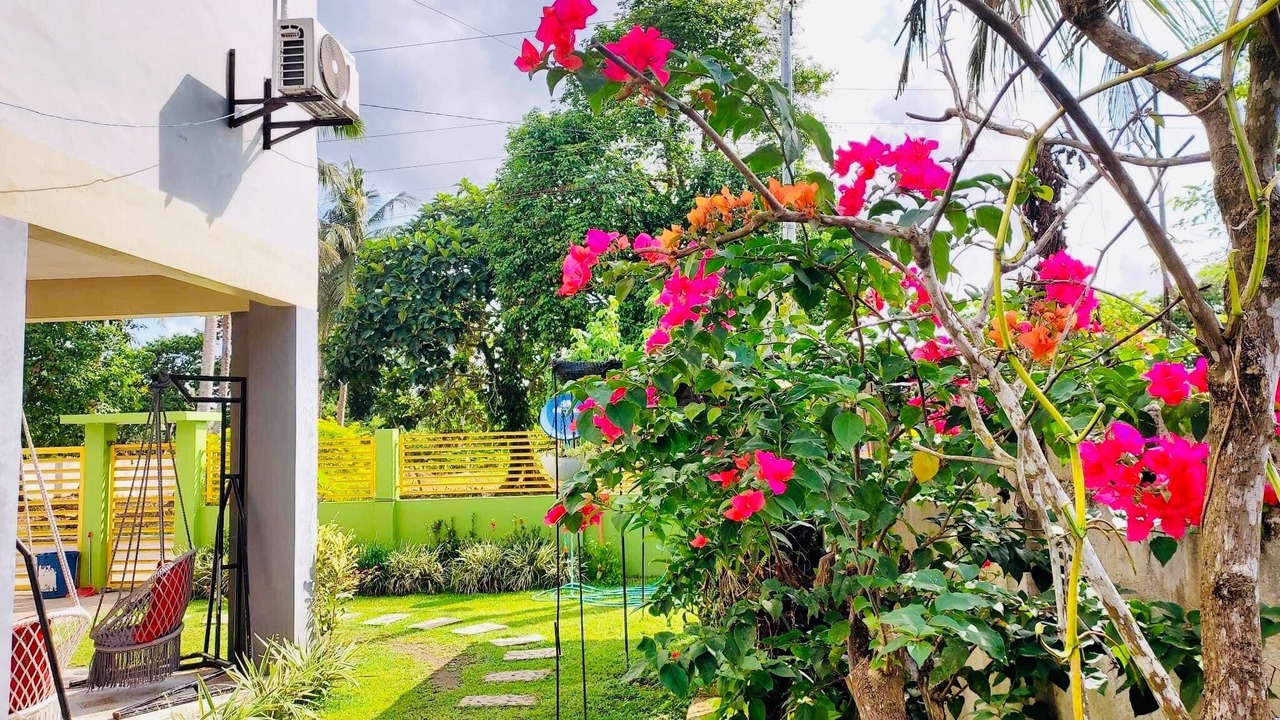 Photo of Outdoor in Daet