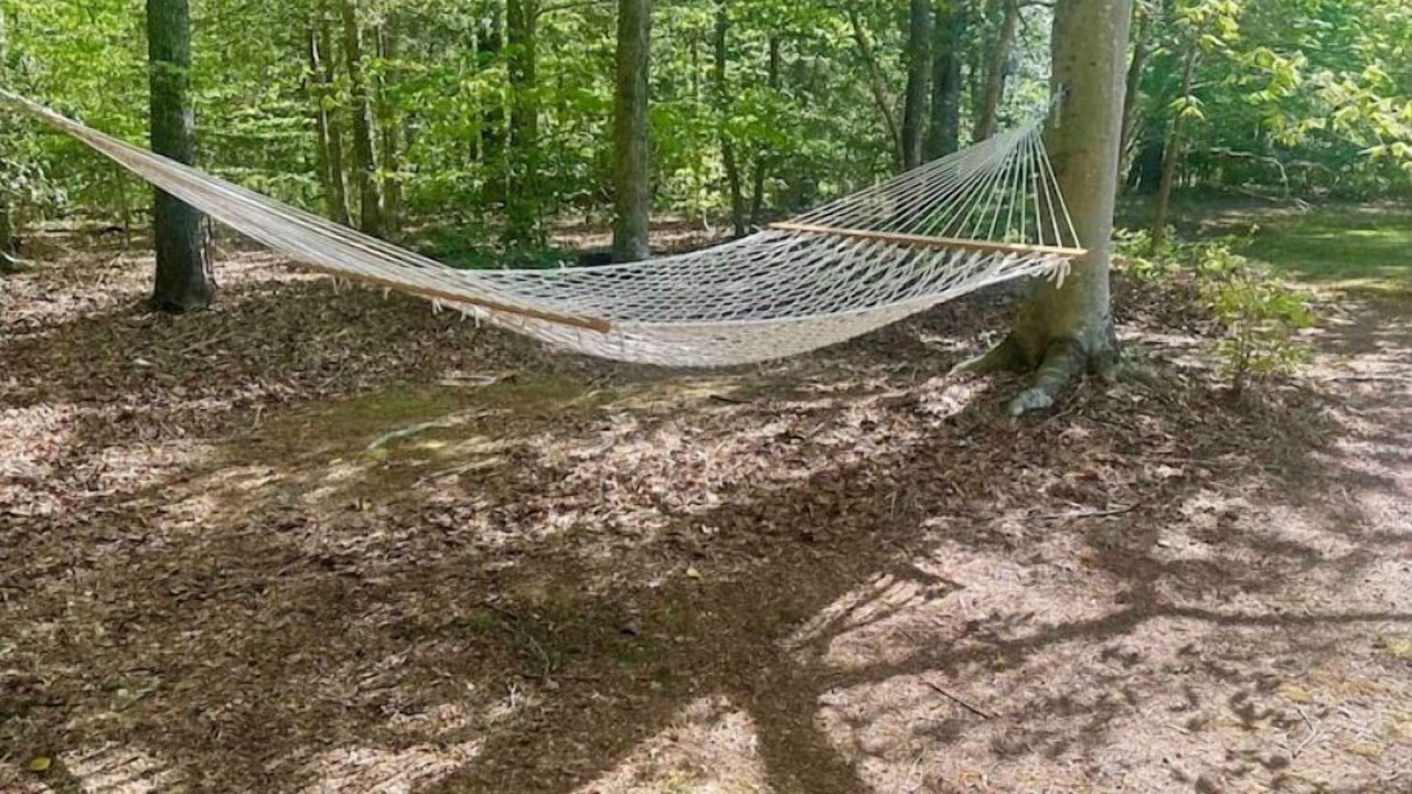 Photo of Outdoor in Gloucester