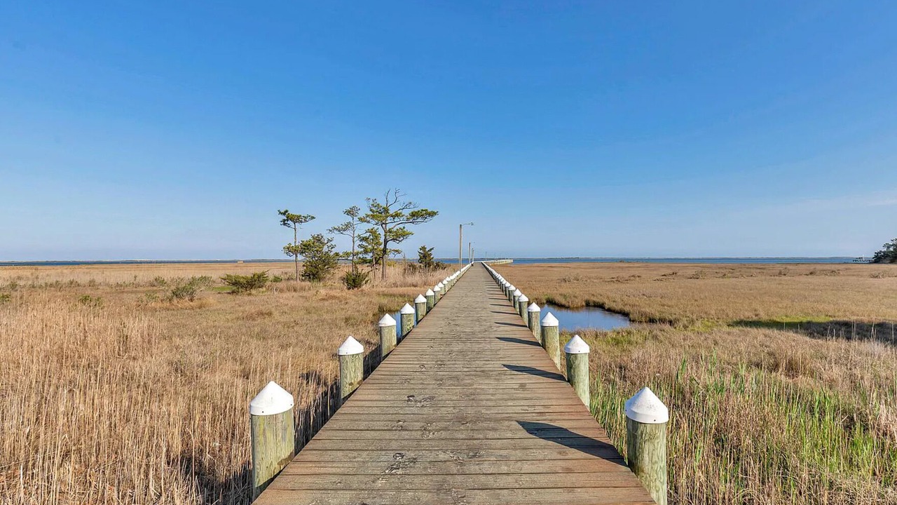 Photo of Others in Assateague Pointe
