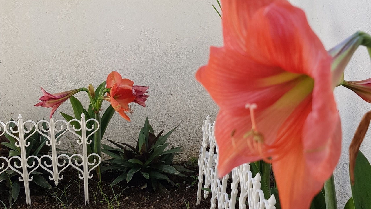 Photo of Outdoor in Lian