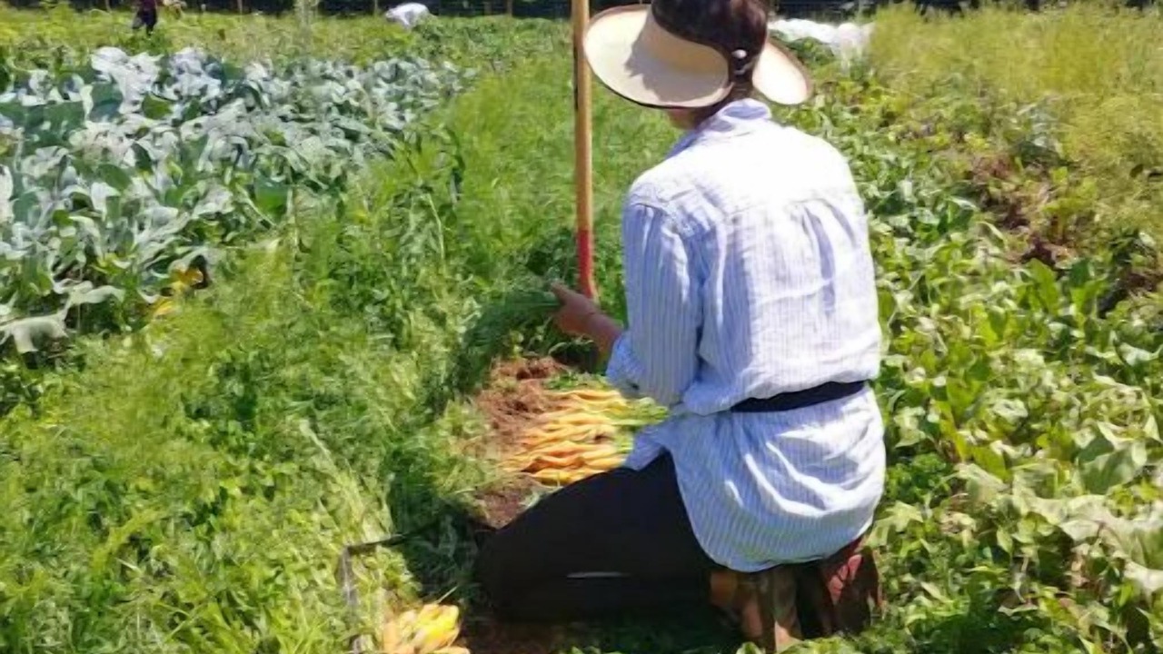 Photo of Others in Middleburg
