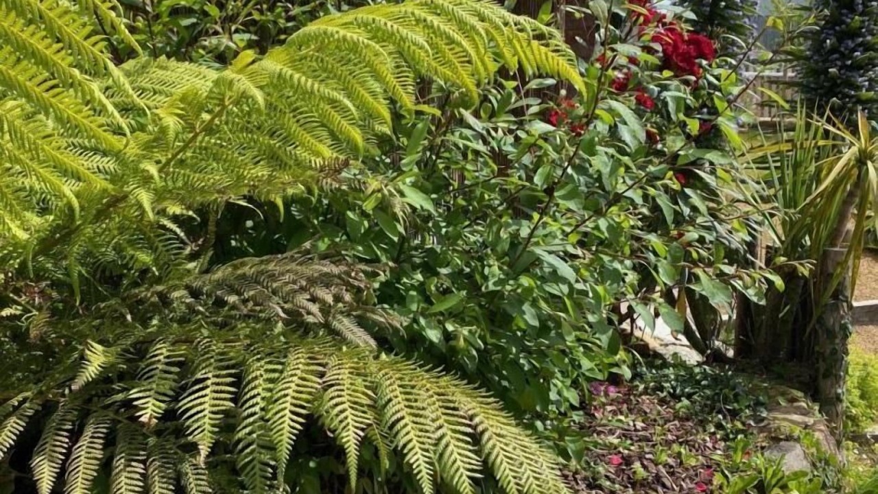 Photo of Outdoor in Lezardrieux