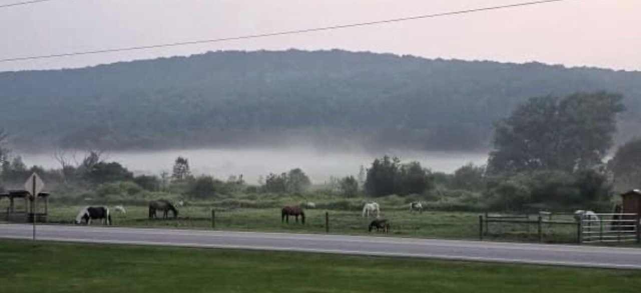 Photo of Outdoor in Black Creek