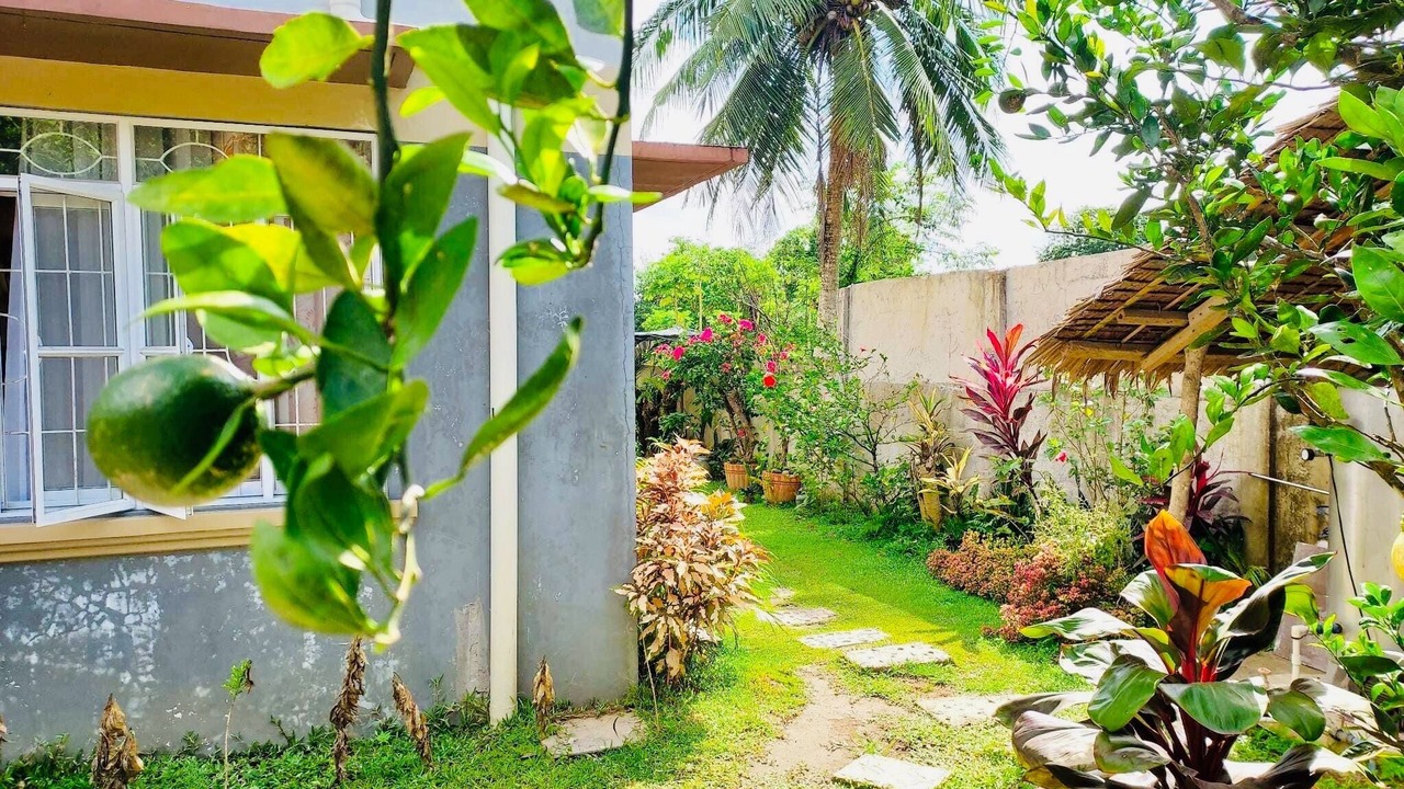 Photo of Outdoor in Daet