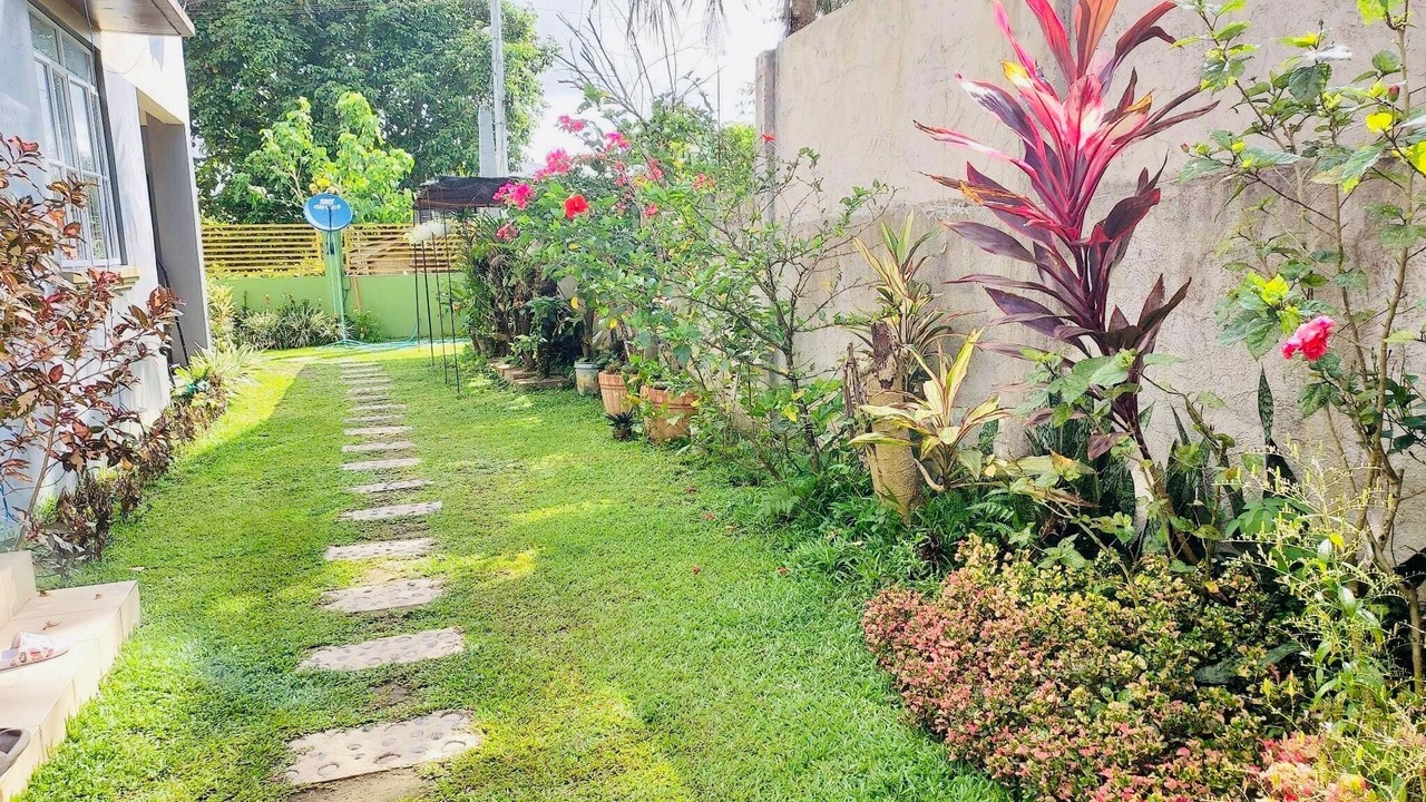 Photo of Outdoor in Daet