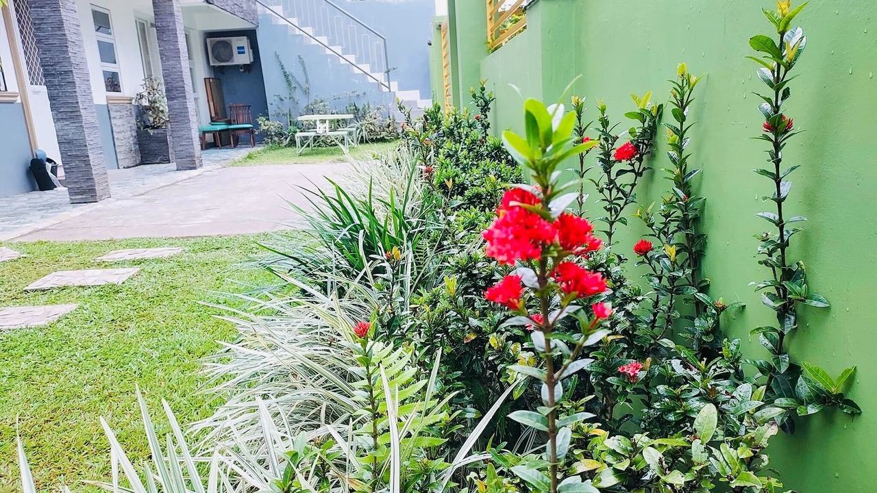 Photo of Outdoor in Daet