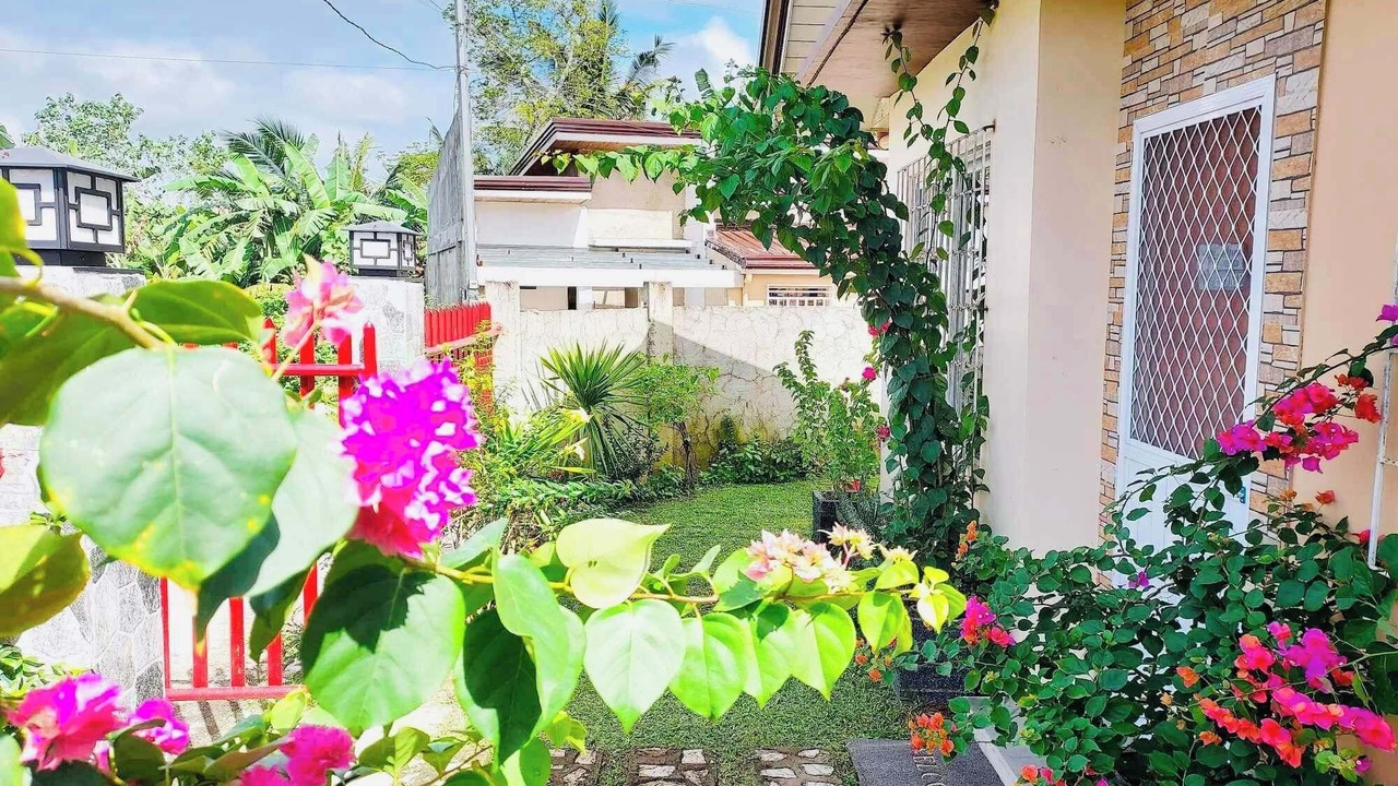 Photo of Outdoor in Daet
