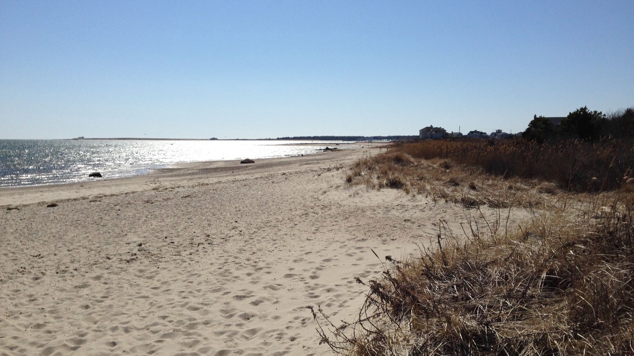 Photo of Others in West Yarmouth